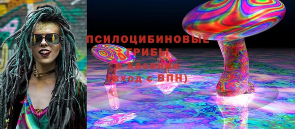 спиды Алексеевка