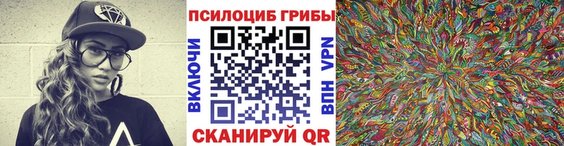 Псилоцибиновые грибы Psilocybe Куровское